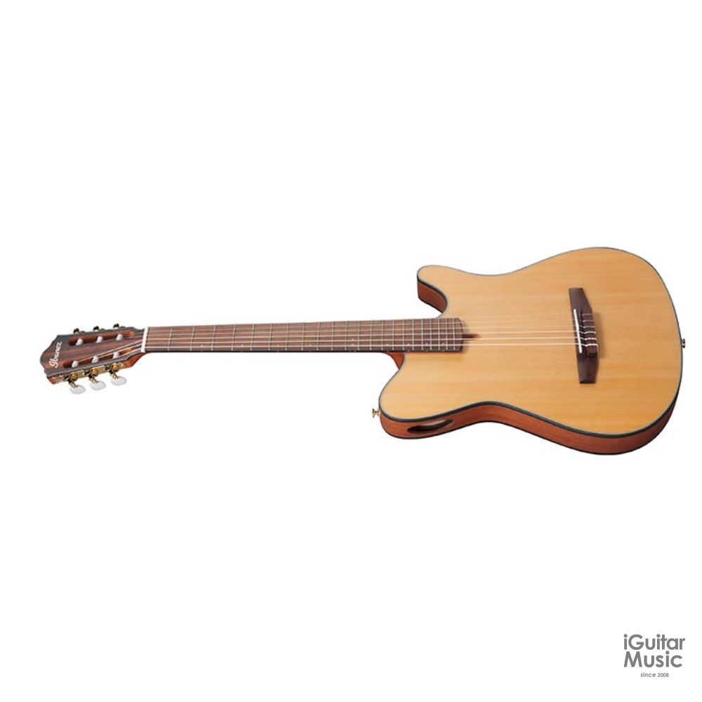 Ibanez Frh10n Ntf Thinline 6-string Nylon Acoustic-electric Guitar -  Natural Flat